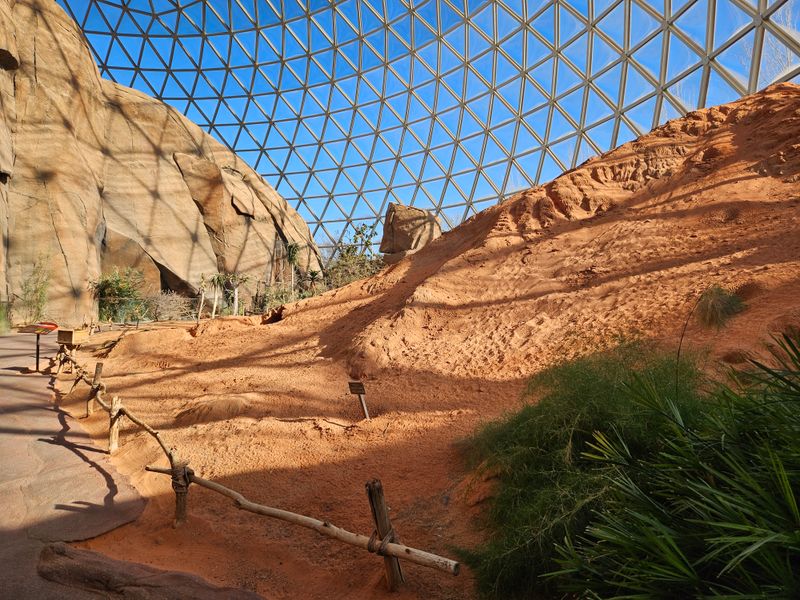 The Henry Doorly Zoo Sets A Global Standard