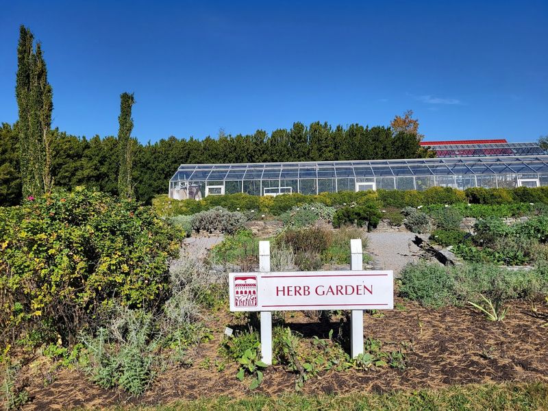 The Herb Garden That Smells Like a Dream The Herb Garden That Smells Like a Dream