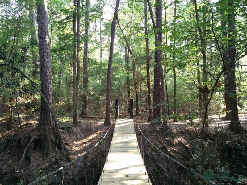 The Hidden Suspension Bridge That Makes It All Worth It The Hidden Suspension Bridge That Makes It All Worth It