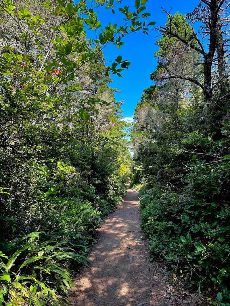 The Hike In, A Trail That Earns Its Reward The Hike In, A Trail That Earns Its Reward