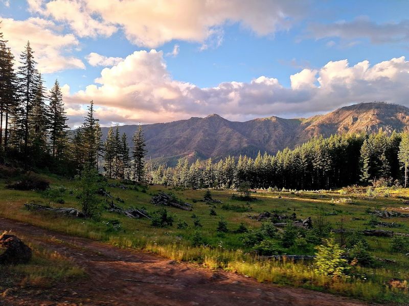 The History Behind the 1920s Gold Mine