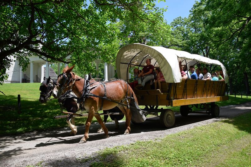 The Horse-Drawn Wagon Ride Around the Island