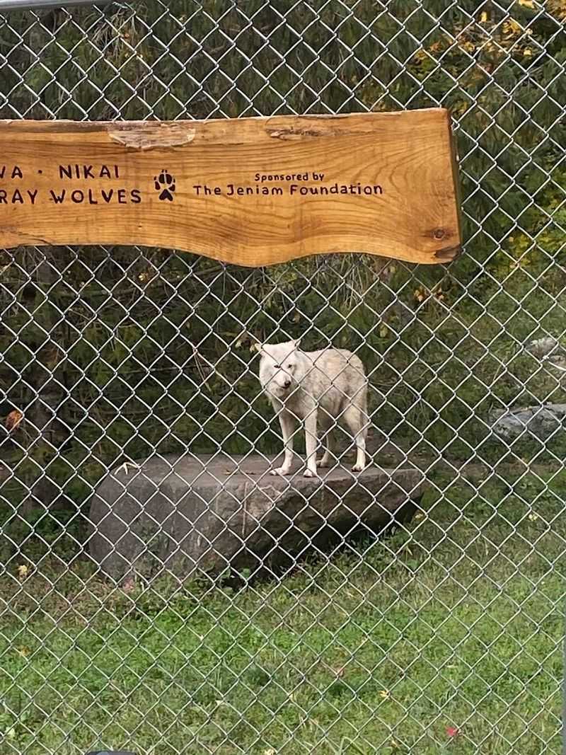 The Howling Is What Gets You