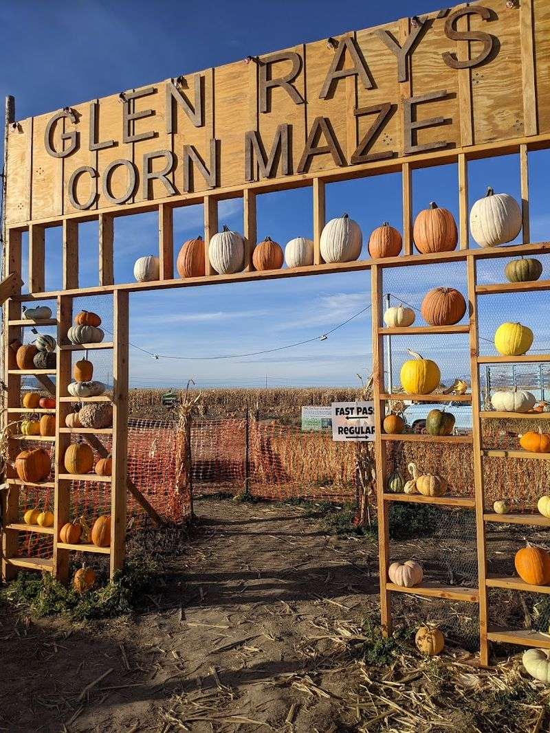 The Human Hamster Wheel: Glen Ray's Most Unexpected Attraction