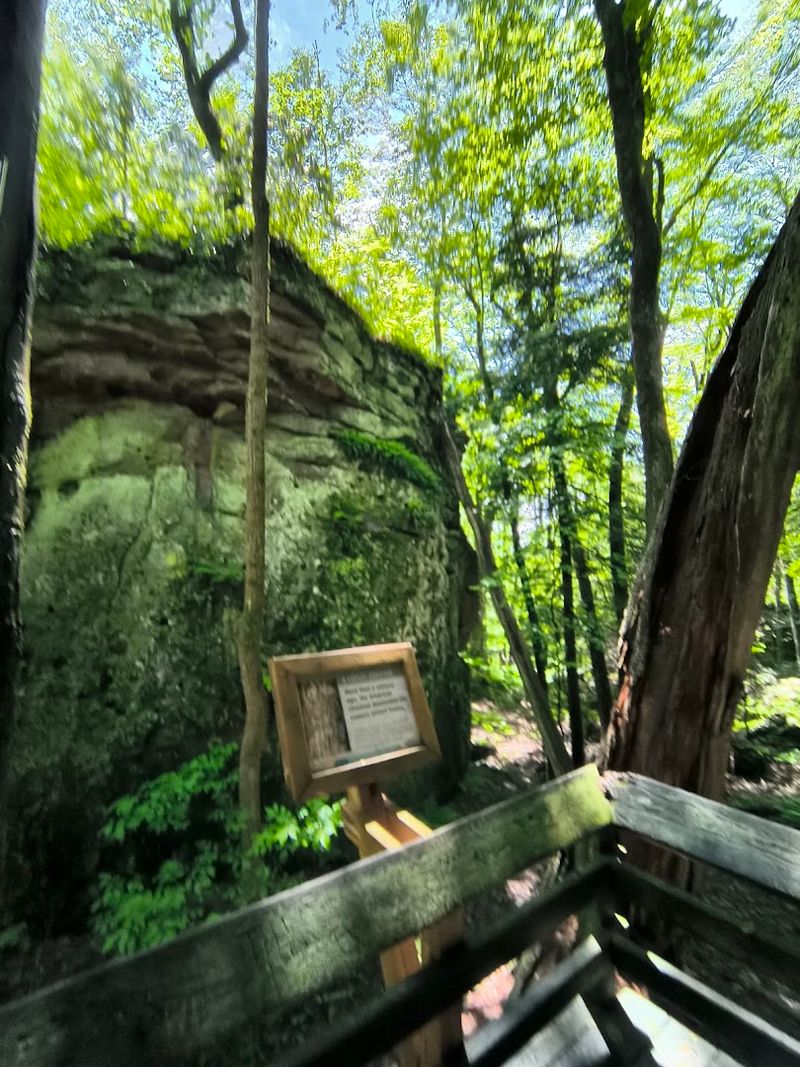 The Informative Signs That Make the Walk Even More Fascinating
