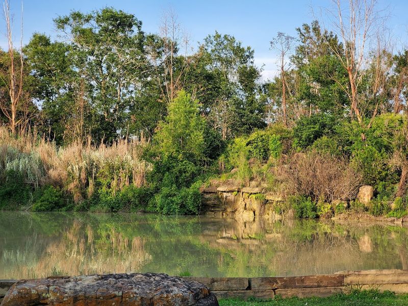The Japanese Garden, Quiet Beauty in a Surprising Corner of Texas