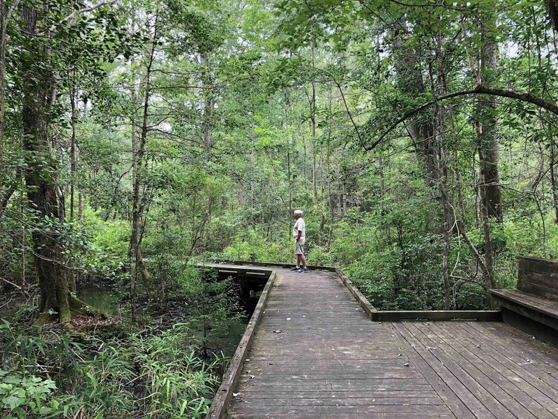 The Jericho Ditch Trail and the Art of Getting Beautifully Lost