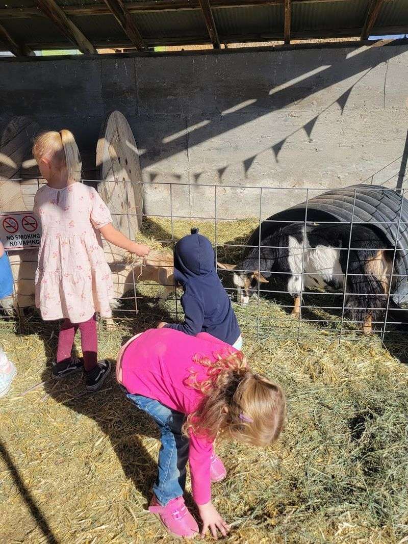 The Kiddie Corral and Family Activities: Fun for Every Age