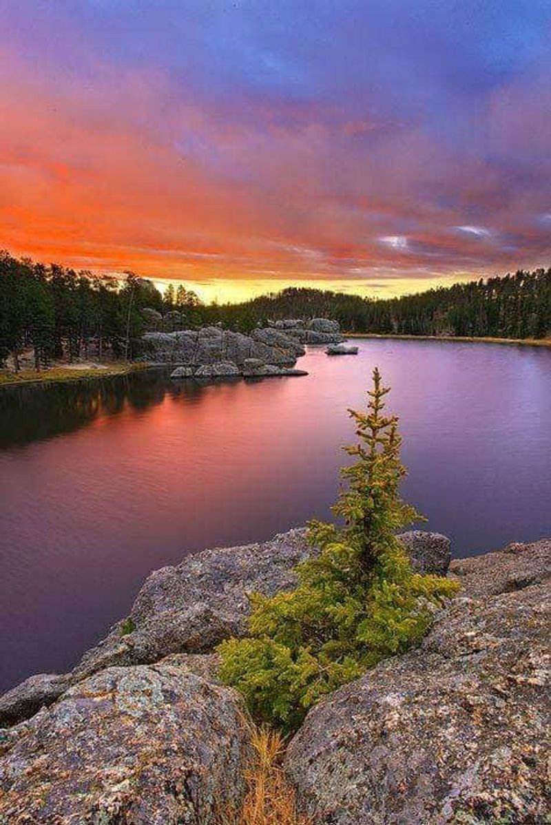 The Kind of Quiet That Actually Resets You