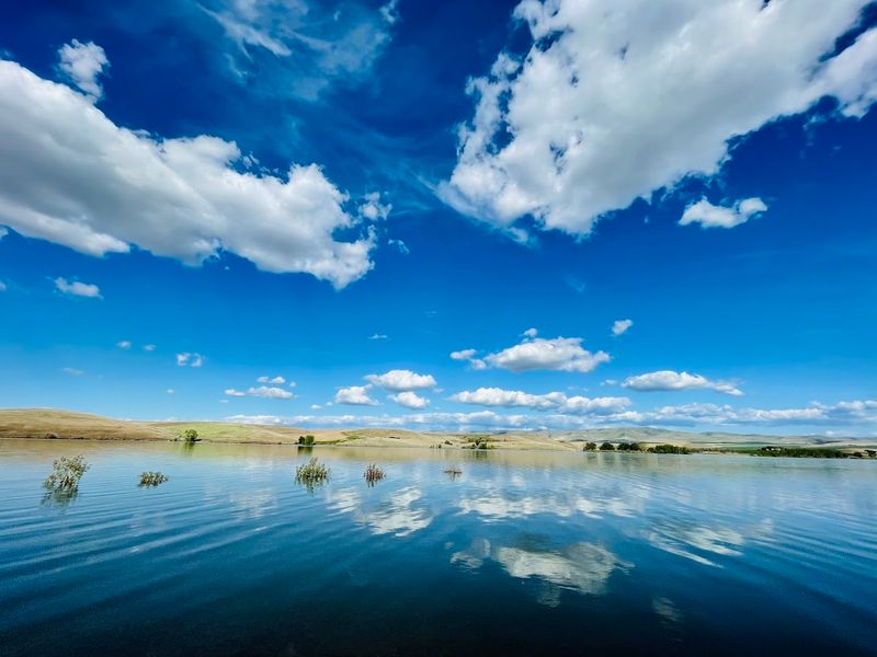 The Landscape That Feels Like Two Worlds at Once The Landscape That Feels Like Two Worlds at Once