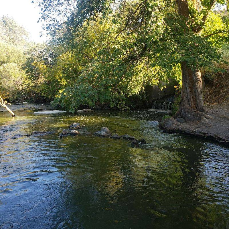 The Link River Trail and Its Peaceful Walks
