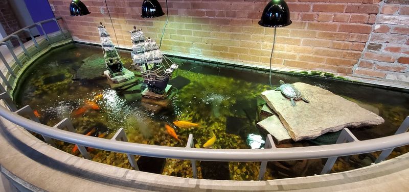 The Live Animal Area That Steals the Show