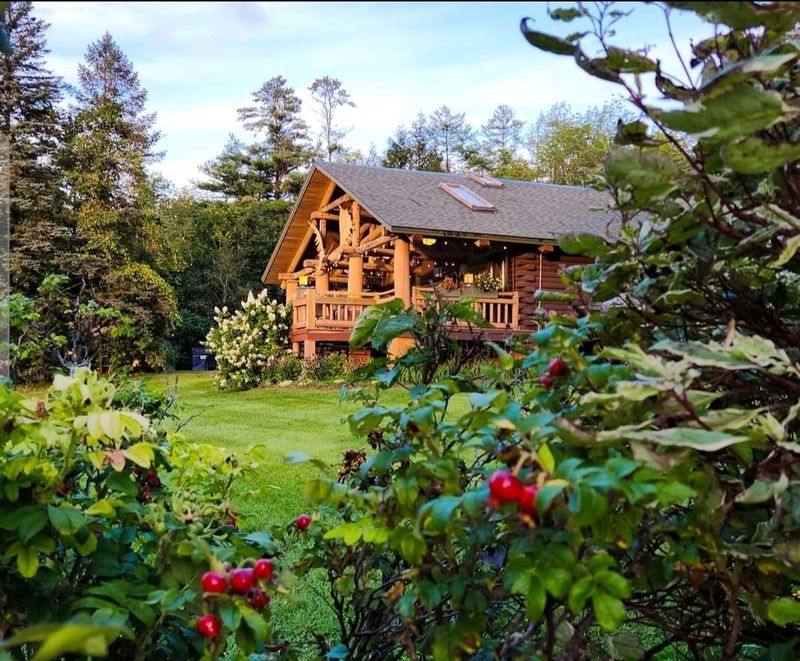 The Log Cabin Charm That Sets the Mood Instantly