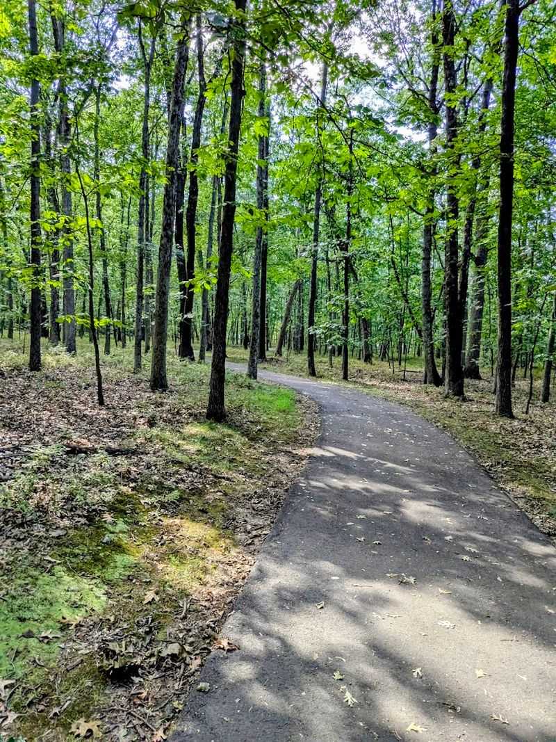 Hiking the Trails Through Blooming Woodlands