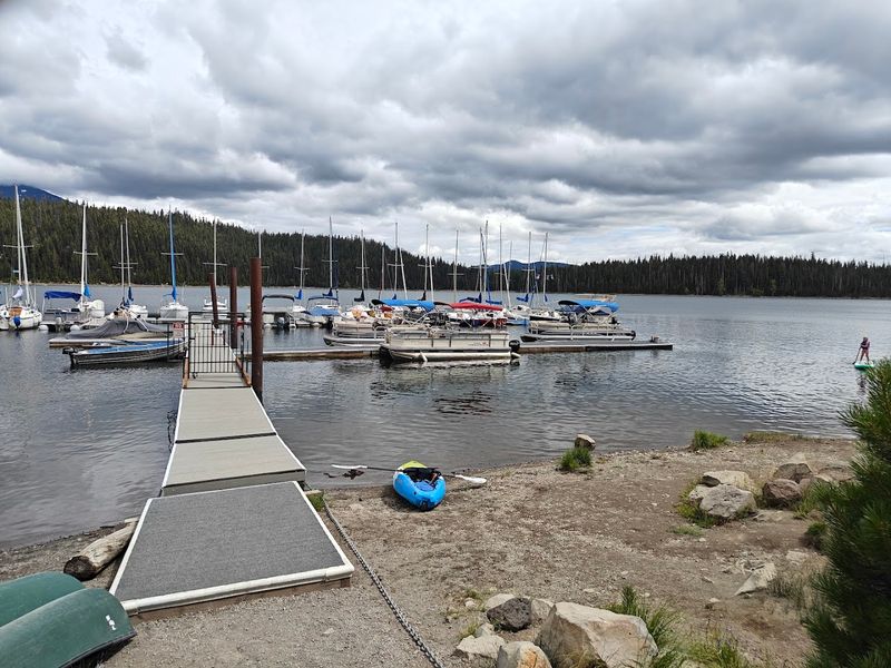 The Marina and Water Activities: Summer Fun on the Lake