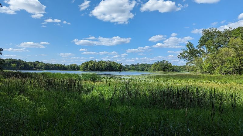 The Marsh Views That Stop You Mid-Step