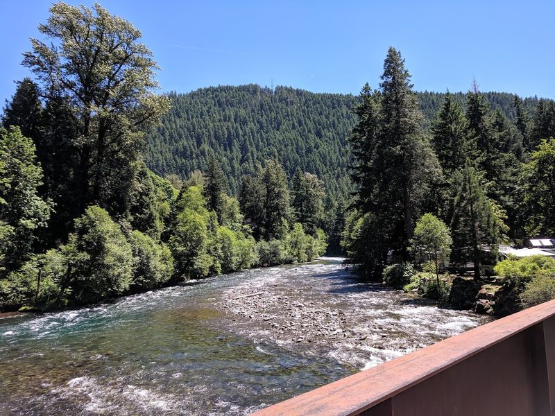 The McKenzie River as Your Backdrop