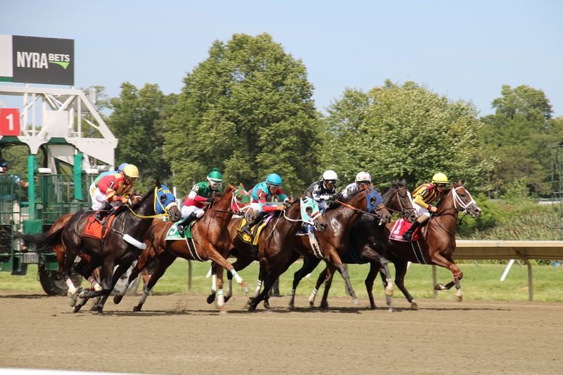 The Million-Dollar Haskell Stakes Race