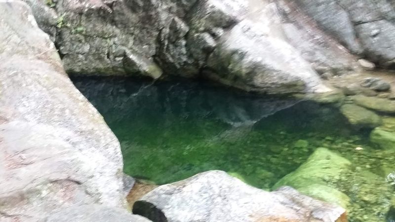The Mossy Ledges and Rock Formations Around the Pool