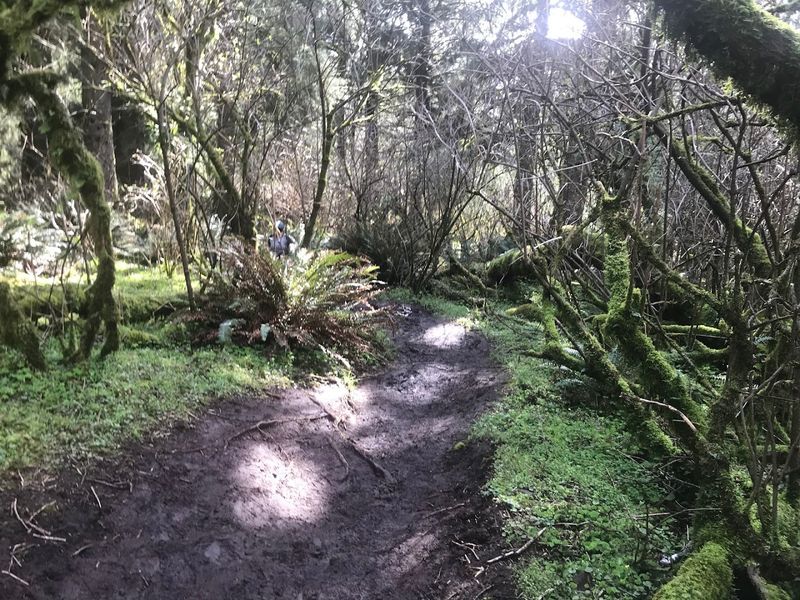The Mud Factor: What Wet Weather Does to This Trail