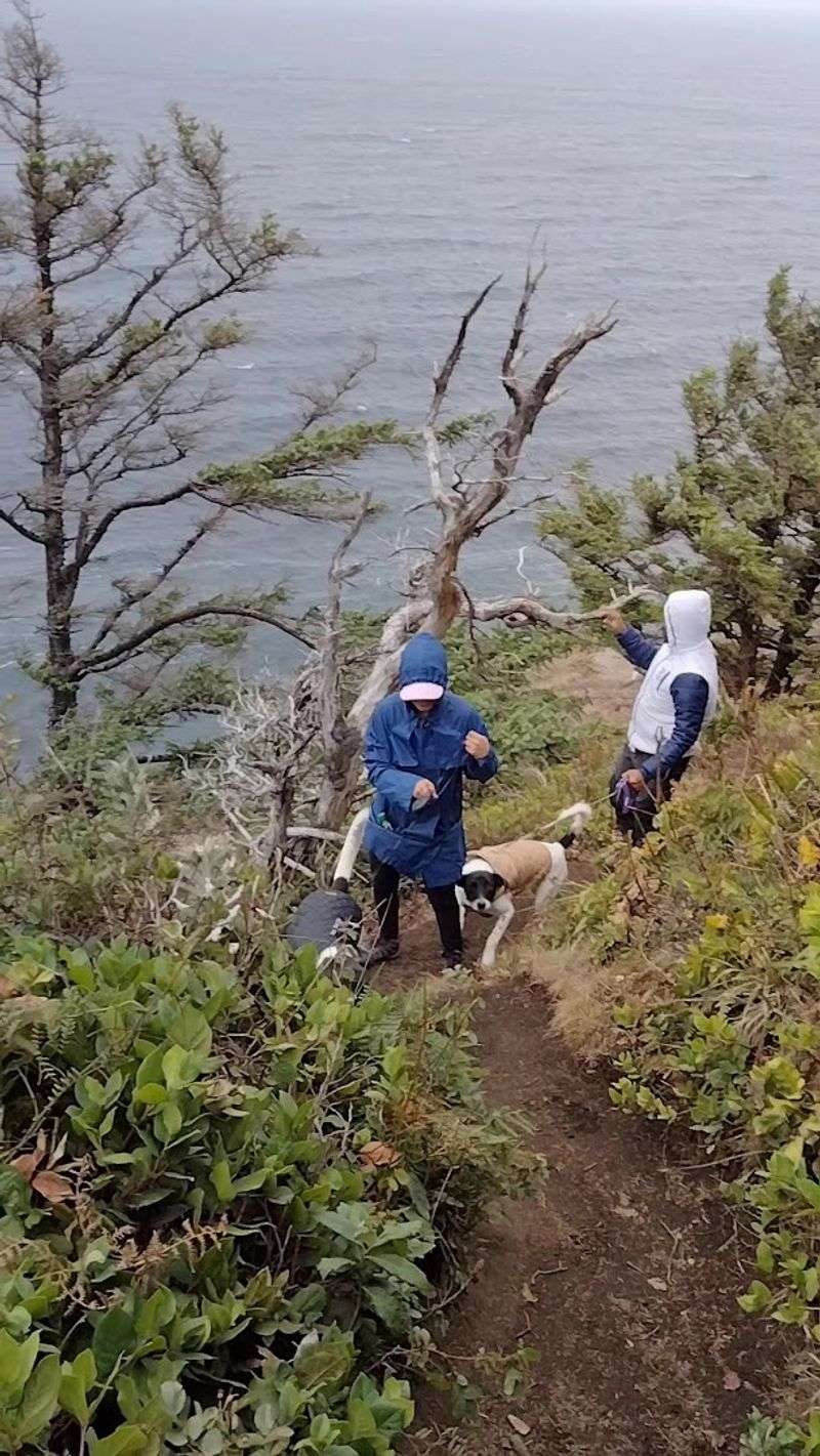 The Narrow Final Stretch to the Cape