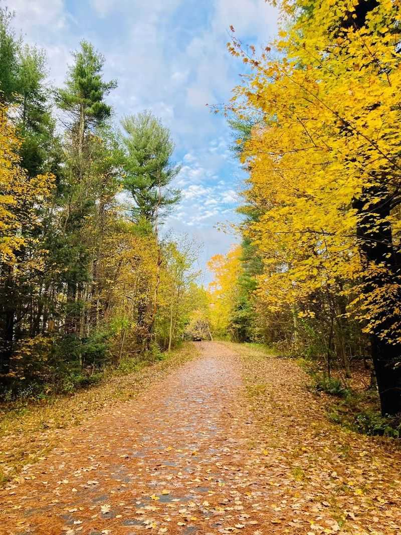 The Nashua River Rail Trail Is Scenic Exercise Done Right The Nashua River Rail Trail Is Scenic Exercise Done Right