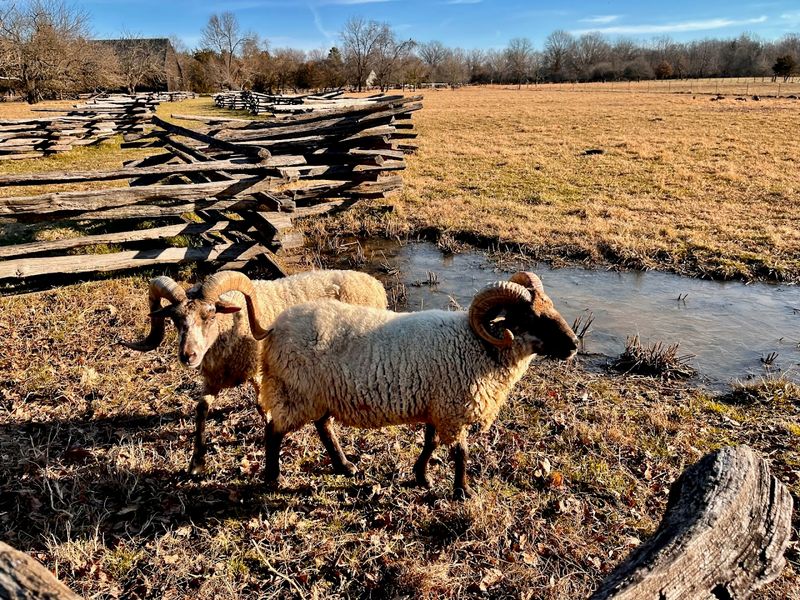 The National Colonial Farm, A Living History Lesson