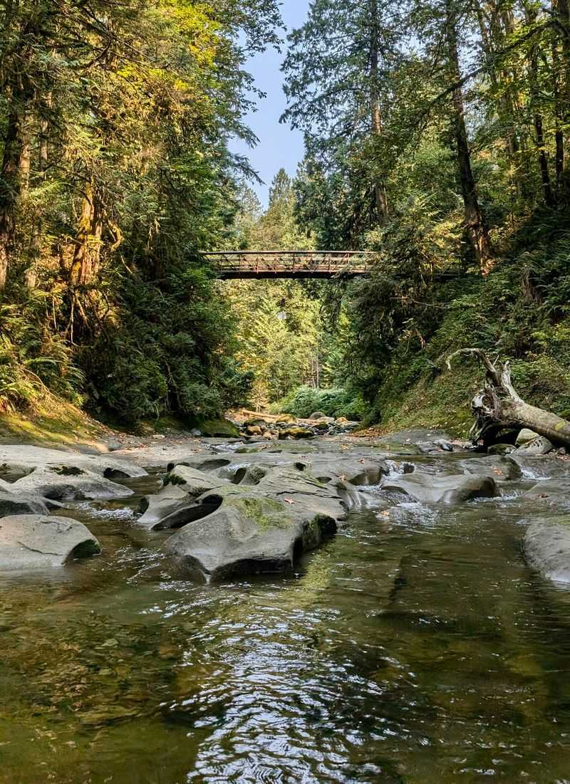 The Natural Rock Bridge: A Geological Wonder Underfoot
