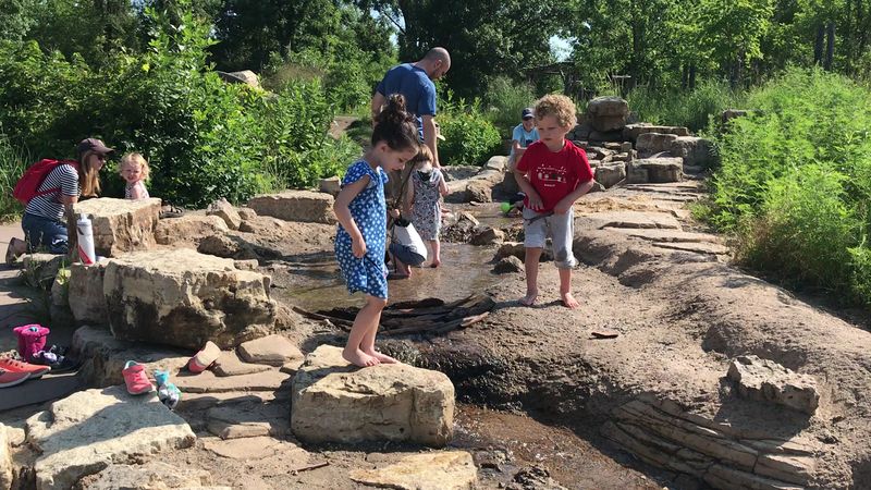 The Nature Play Area: Where Kids Lose Track of Time