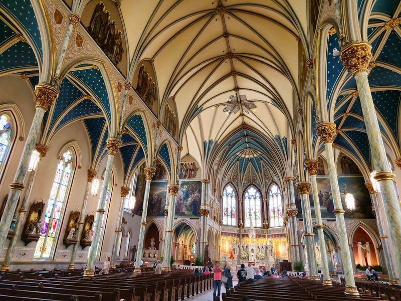 The Noack Tracker Organ and the Sound That Fills the Space