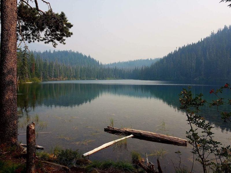 The Olallie Lakes Scenic Area: A Volcanic Landscape Worth Knowing