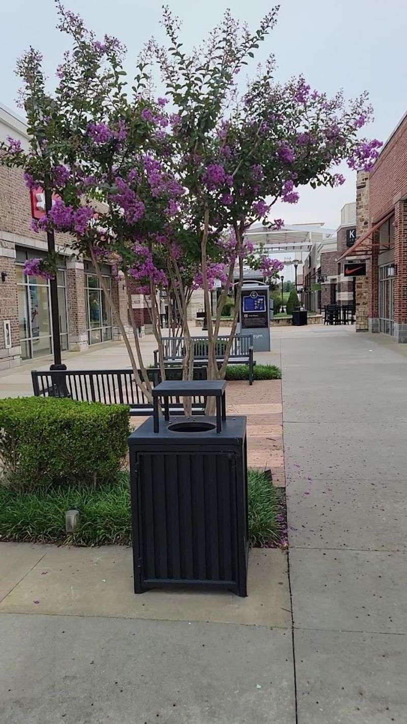 The Open-Air Layout That Makes Shopping Feel Like an Adventure