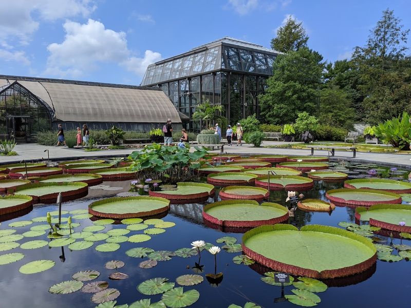 The Open Air Theatre Is Not Just A Side Attraction