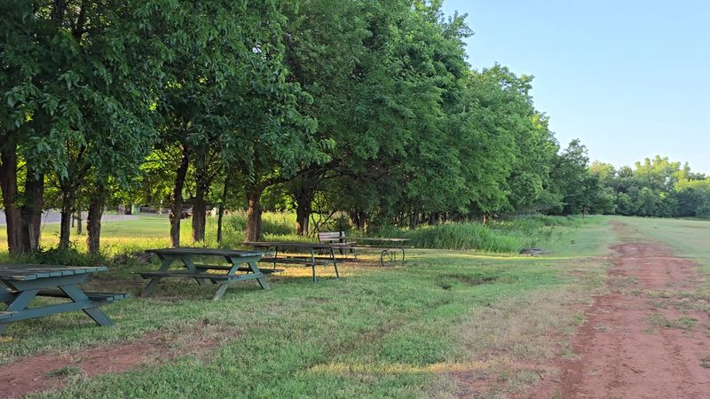 The Open Meadow Area and Picnic Spaces