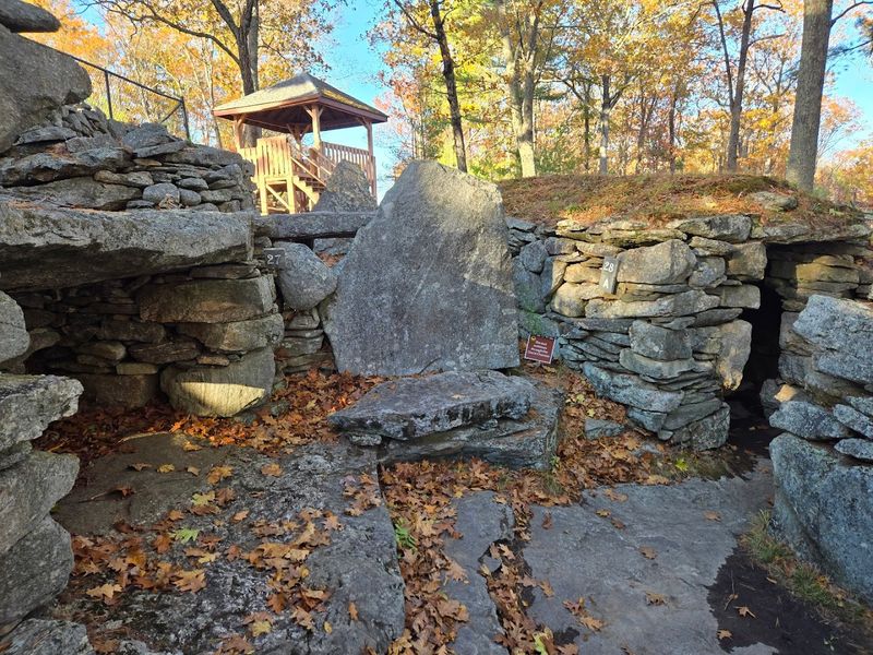The Oracle Chamber That Keeps Its Secrets