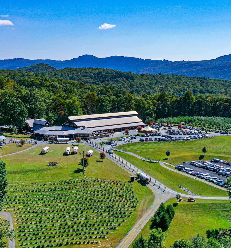The Orchard Part Really Matters The Orchard Part Really Matters