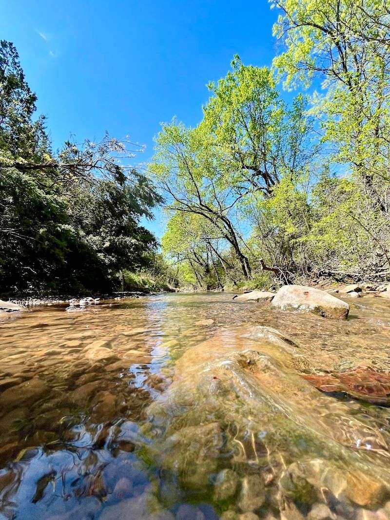 The Park's Connection to Turner Falls