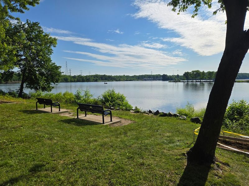 Picnicking with a View That Actually Delivers