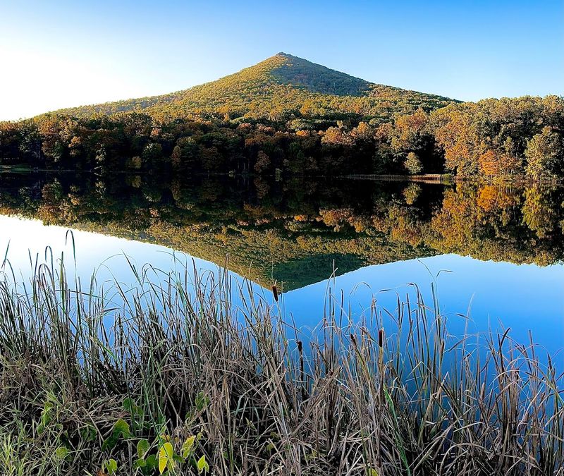 The Peaks of Otter Recreation Area Beyond the Trail