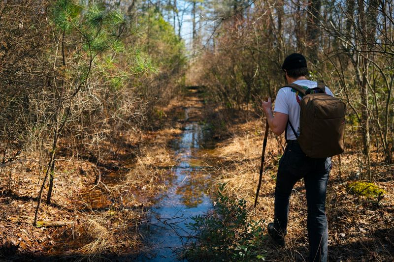 The Pinelands Setting That Makes Everything Feel Far Away