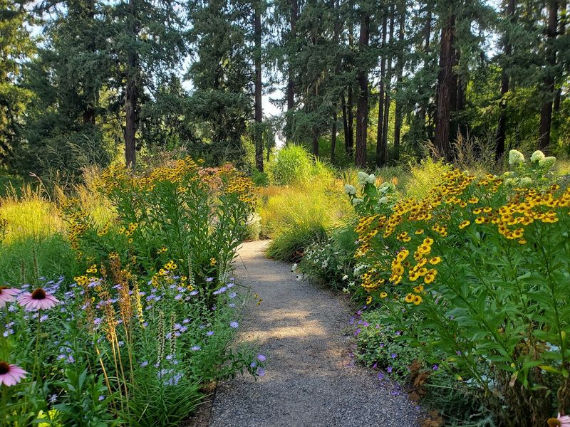 The Pollinator Garden That Buzzes With Life
