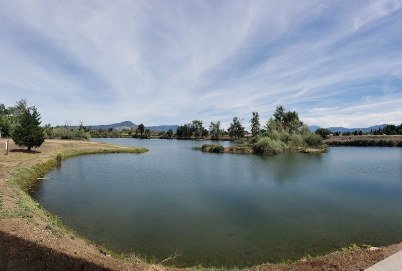 The Pond: A Quiet Spot for Fishing and Relaxation The Pond: A Quiet Spot for Fishing and Relaxation