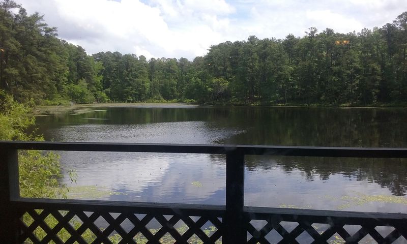 The Pond View That Makes Every Bite Better