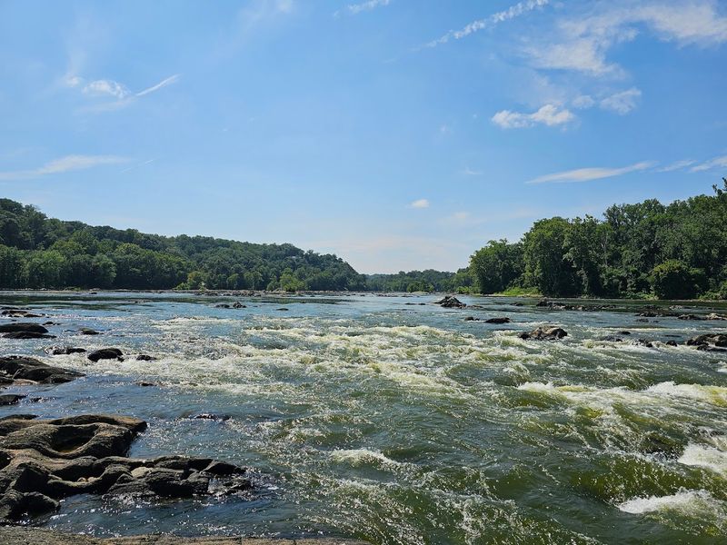 The Potomac River Views That Stop You Cold