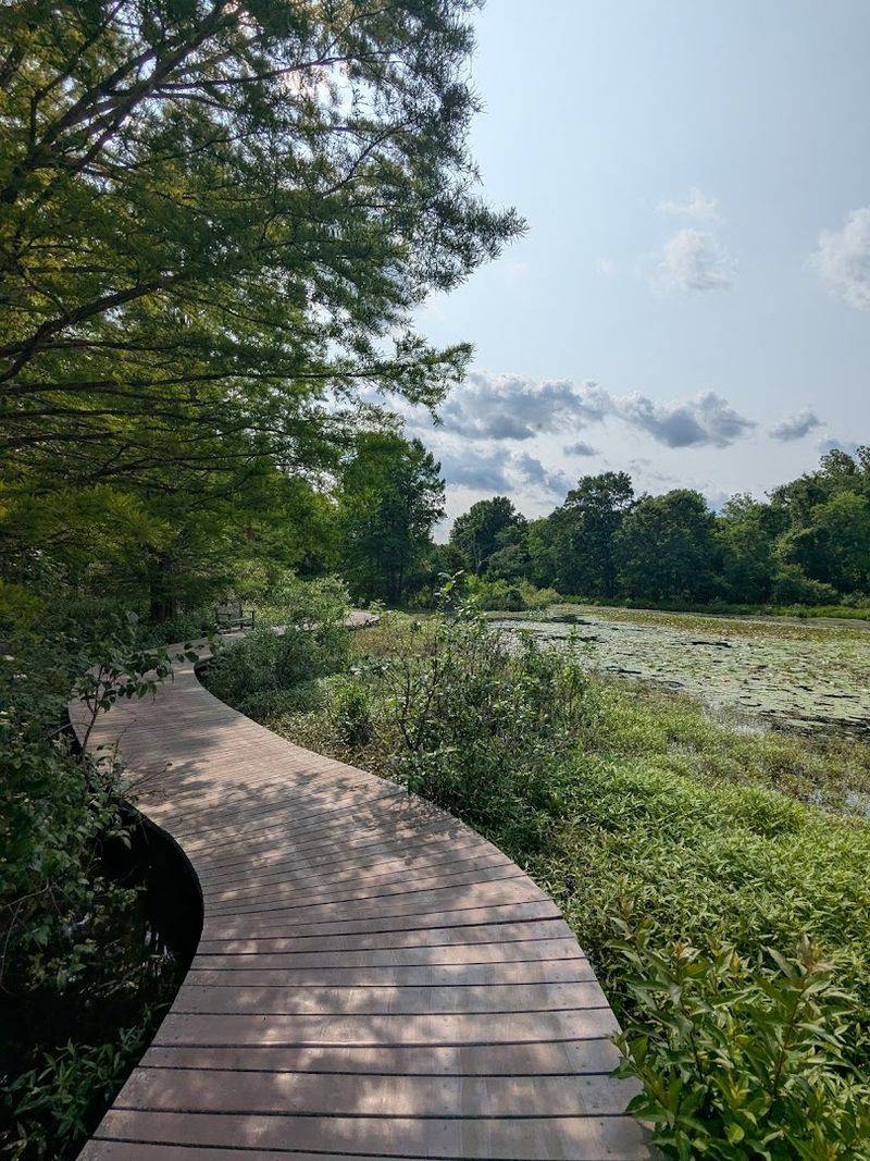 The Prairie Restoration Work Here Is Genuinely Impressive