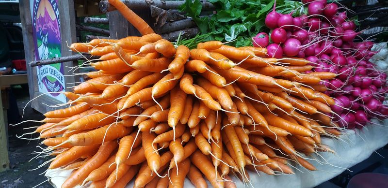 The Produce Tables Are The Real Temptation