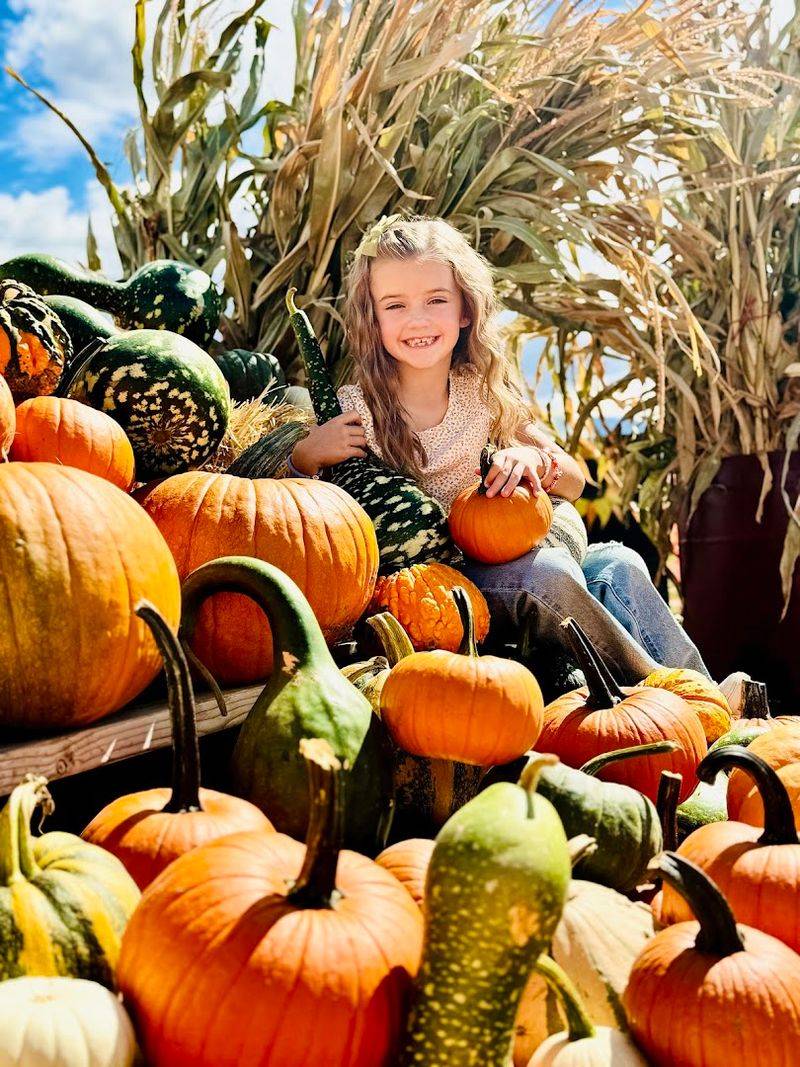 The Pumpkin Patch: Over 50 Varieties and Room to Roam