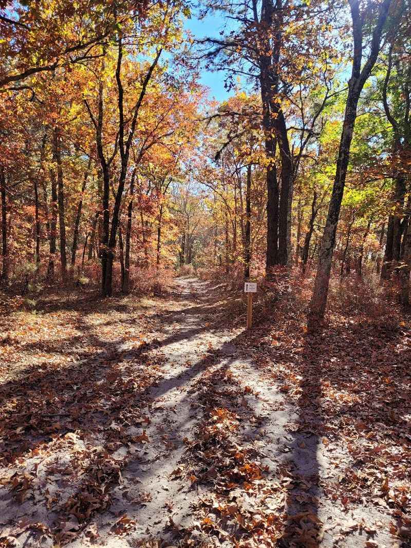 The Purple Heart Trail: Where History Meets Sandy Footpaths