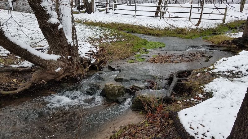 The Quiet Creek Running Through It All The Quiet Creek Running Through It All