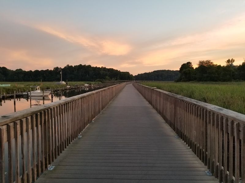 The Railway Trail: An Easy Walk With a Lot to Discover